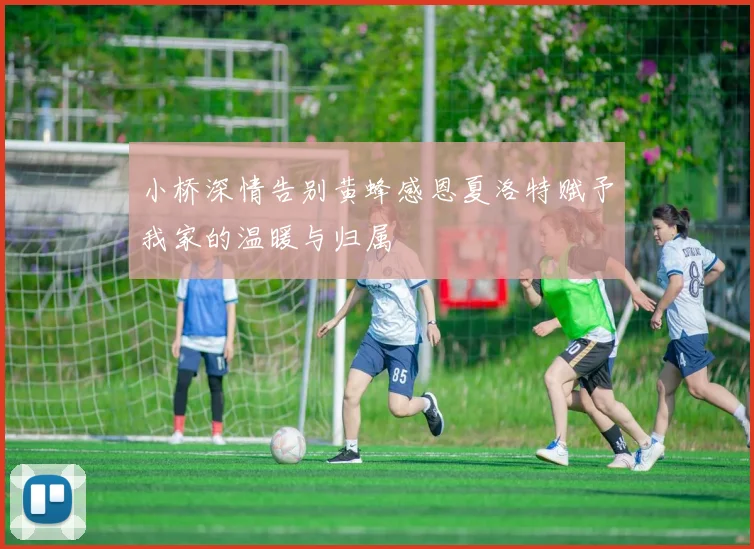 小桥深情告别黄蜂感恩夏洛特赋予我家的温暖与归属