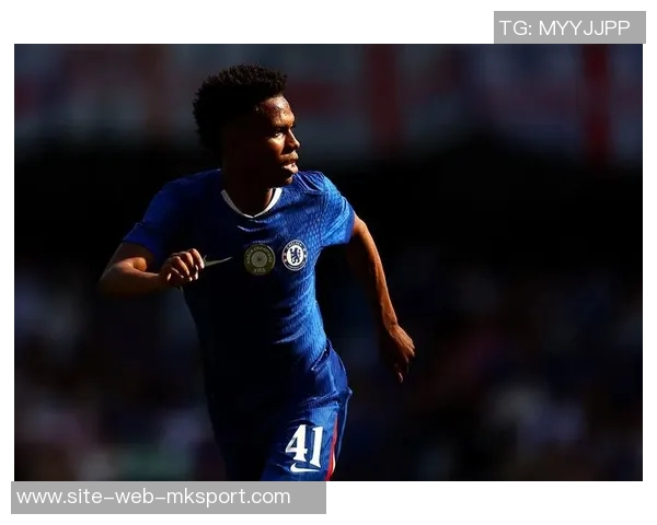 白堡球迷发声：对切尔西所有者的决策表示强烈反对与不满