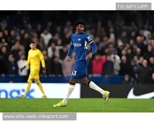 马雷斯卡自述缺乏支持蓝军回应称其情绪反应正常