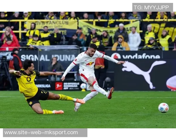 恩梅查谈加盟多特后的成长与世界杯梦想